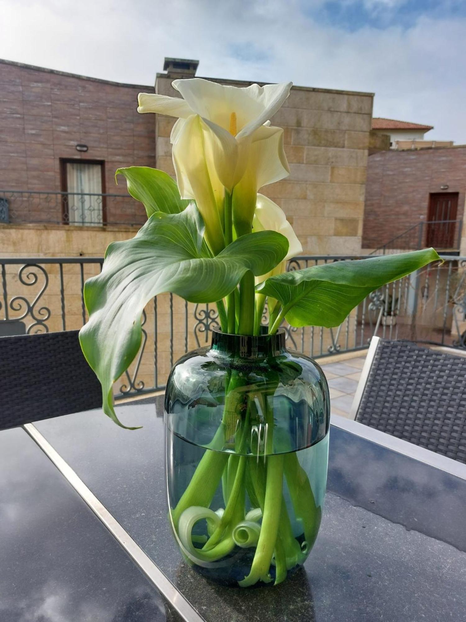 Hotel Apartamento Marouco أغواردا المظهر الخارجي الصورة